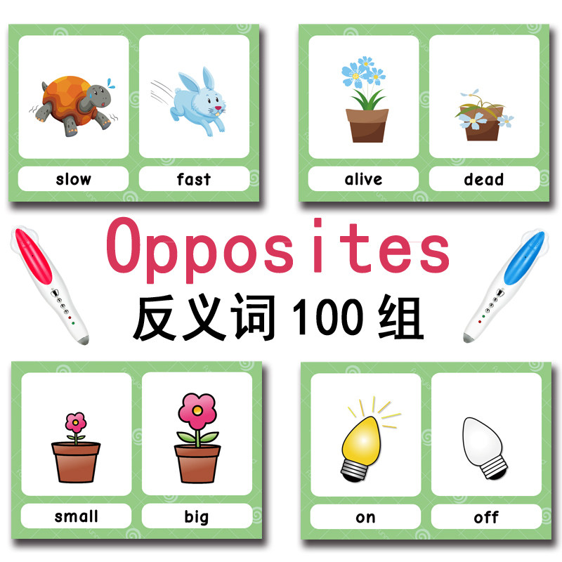 The 100 Groups Opposites Flash - огляд і ціна Kids Educational Game